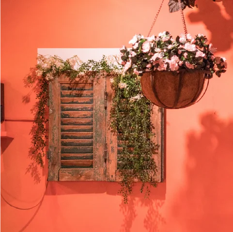 Muurdecoratie met een mediterrane muur, authentieke kozijnen en hangplanten.
